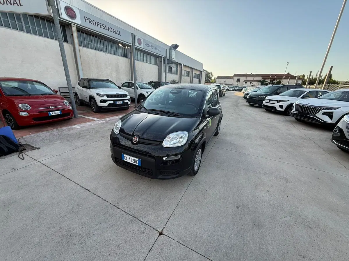 Fiat Panda Cross usata a Frosinone (12)
