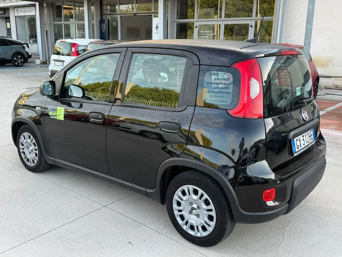 Fiat Panda Cross usata a Frosinone (13)