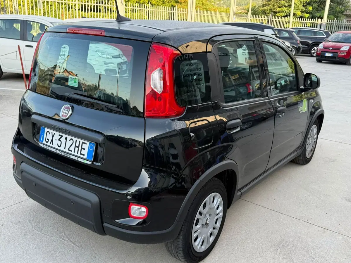 Fiat Panda Cross usata a Frosinone (3)