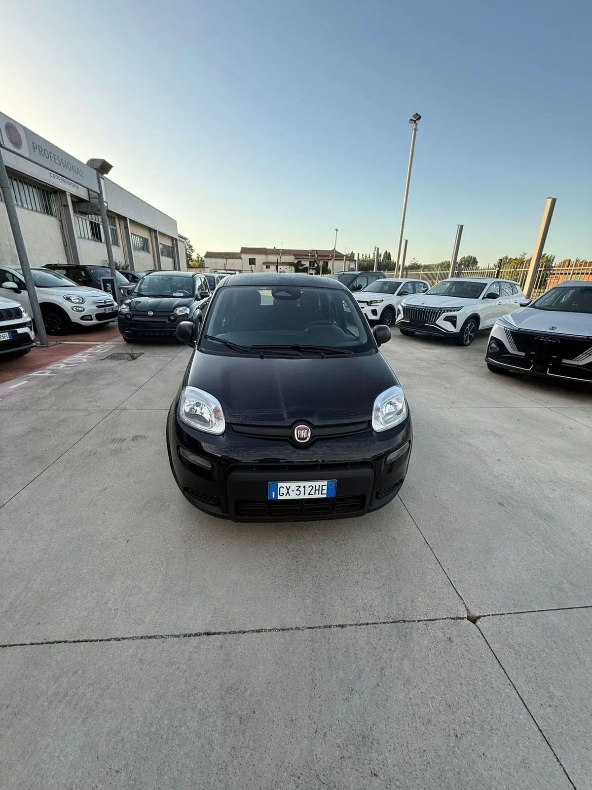 Fiat Panda Cross usata a Frosinone (4)