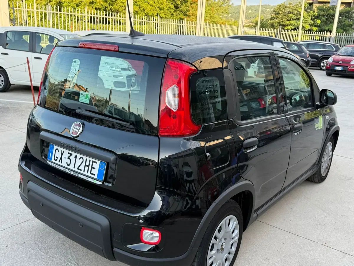 Fiat Panda Cross usata a Frosinone (5)