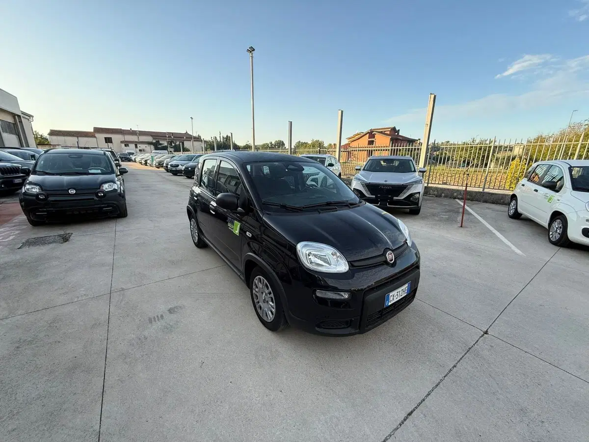 Fiat Panda Cross usata a Frosinone (6)