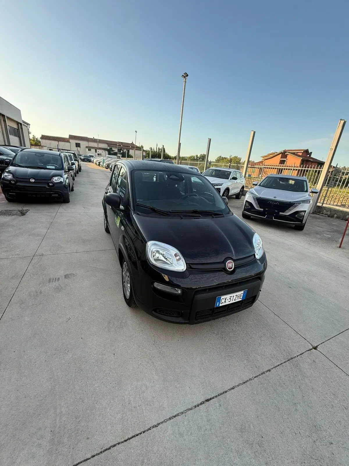 Fiat Panda Cross usata a Frosinone (7)