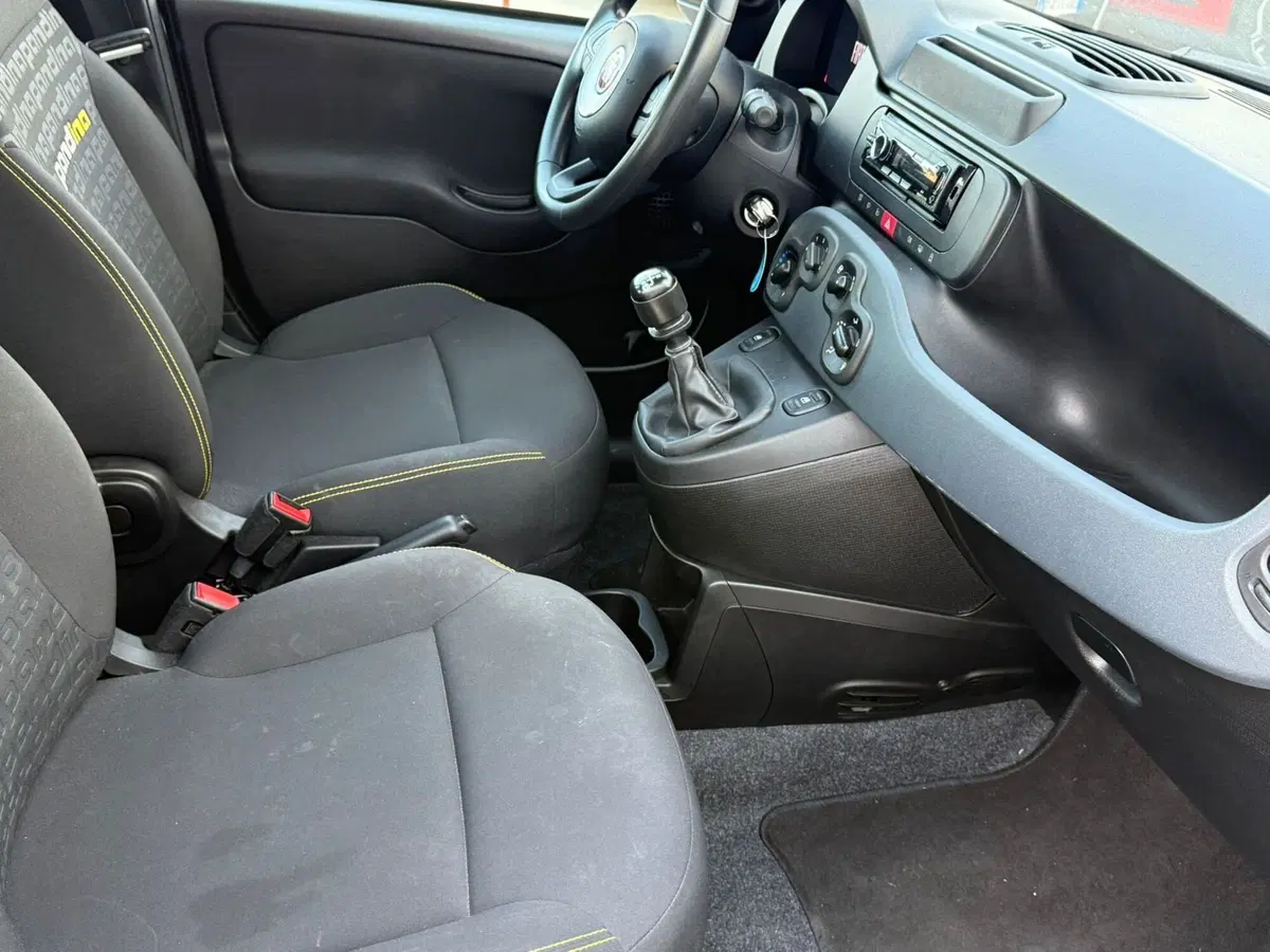 Fiat Panda Cross usata a Frosinone (8)