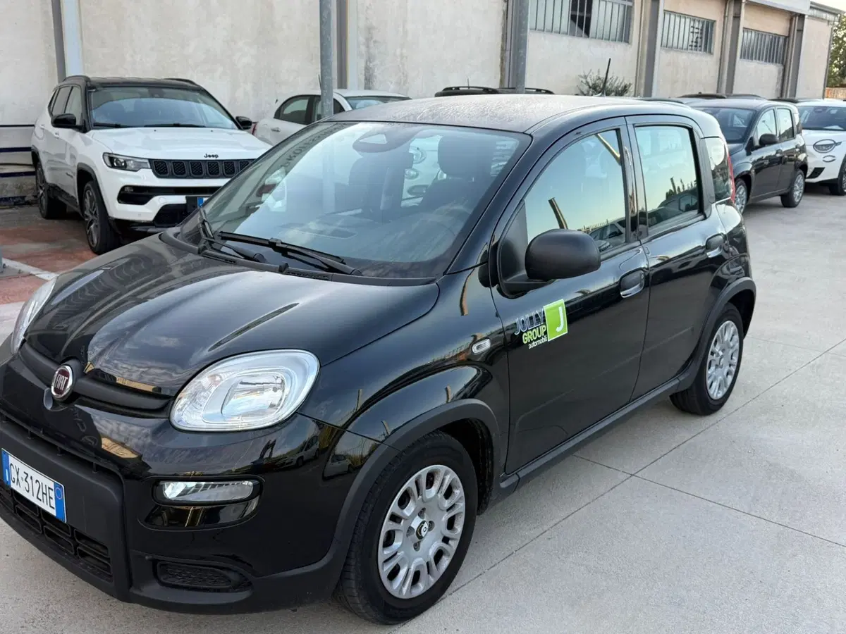 Fiat Panda Cross usata a Frosinone (9)