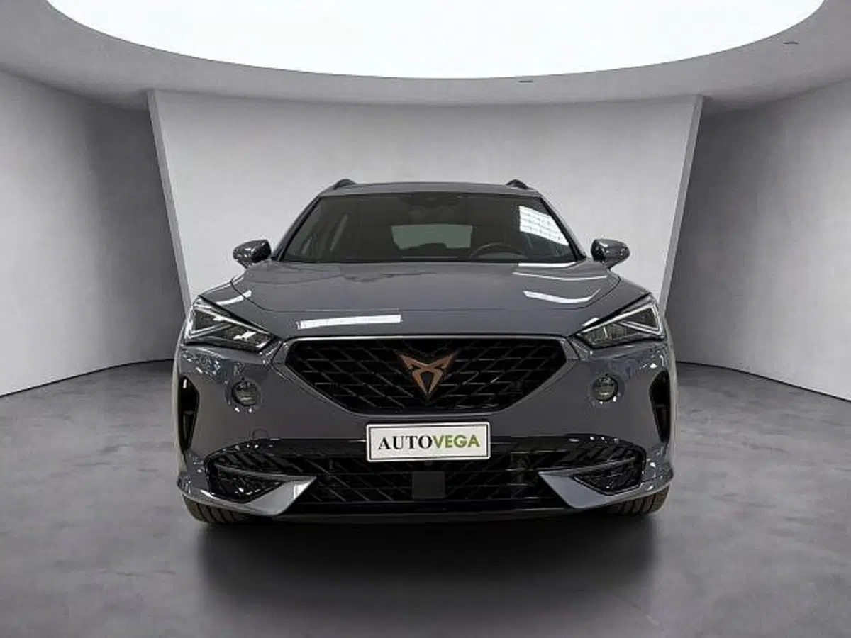 Cupra Formentor usata a Vicenza (2)