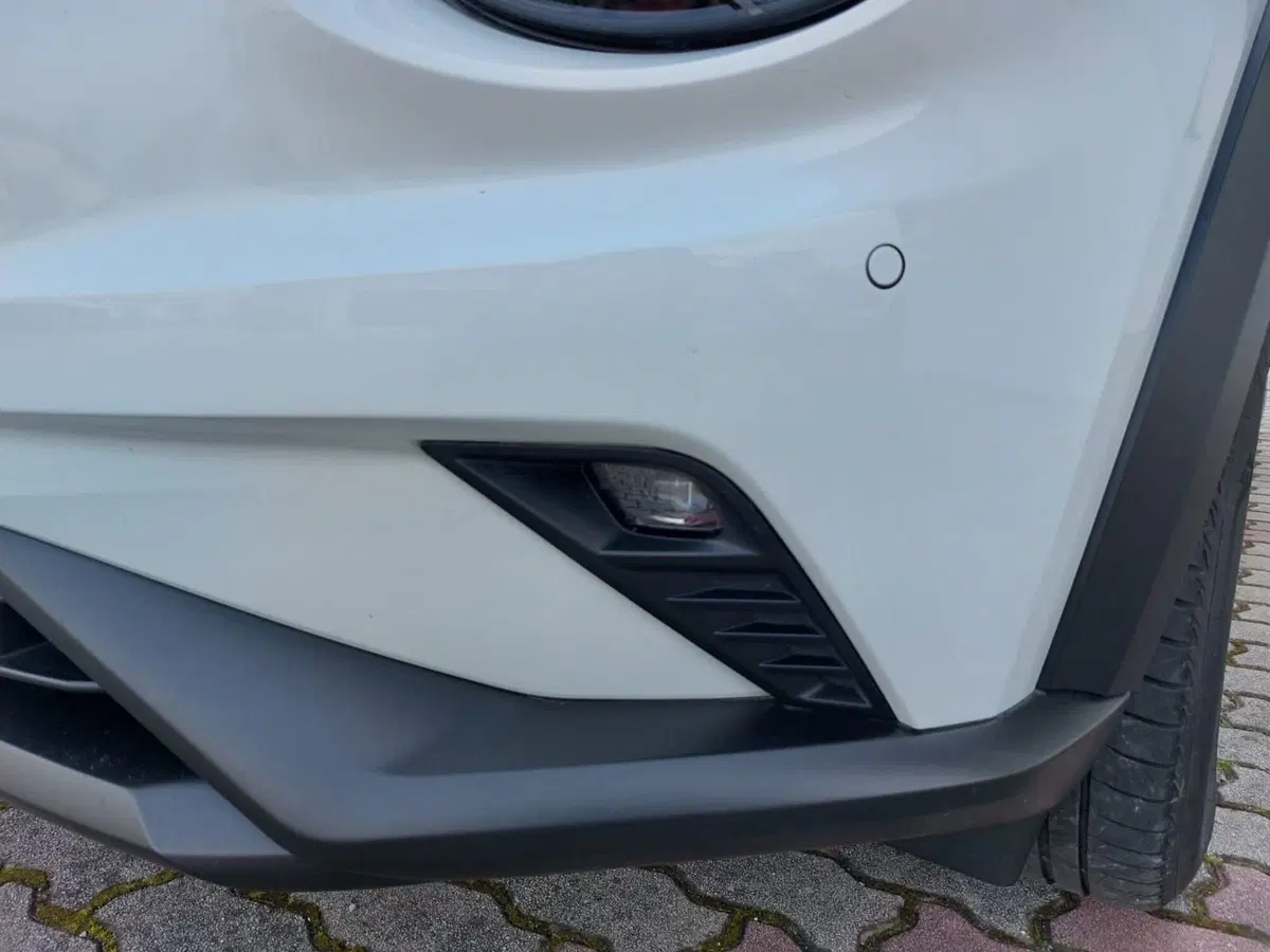 Nissan Juke usata a Pavia (12)