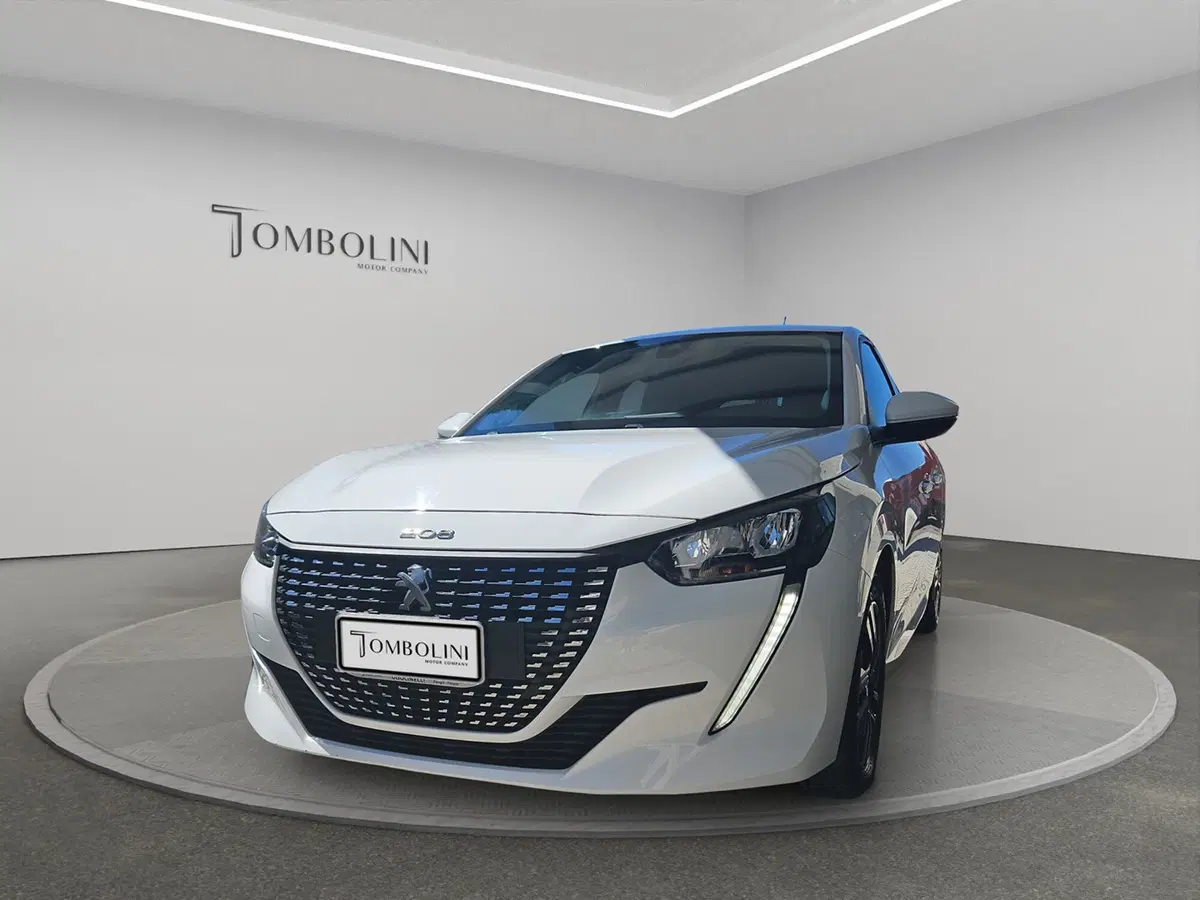 Peugeot 208 usata a Perugia