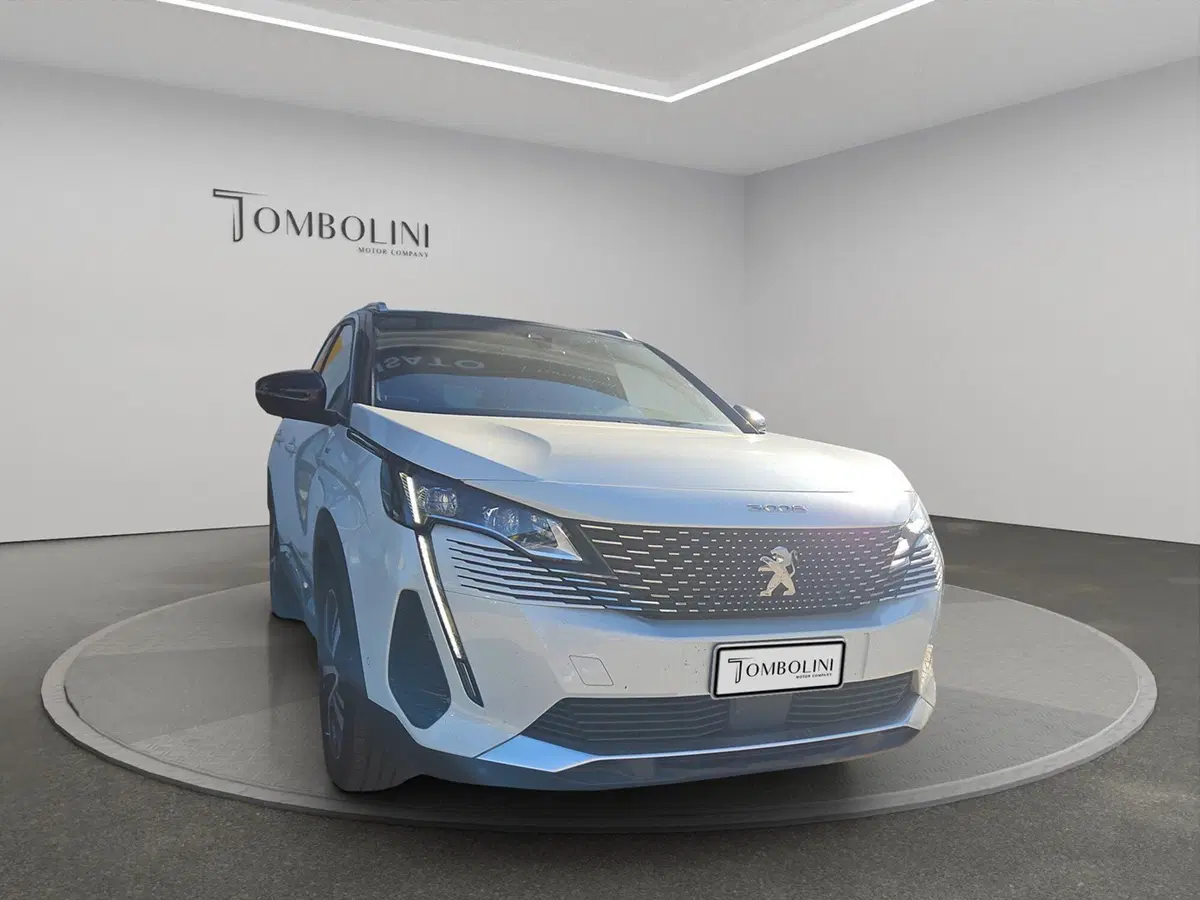 Peugeot 3008 usata a Perugia