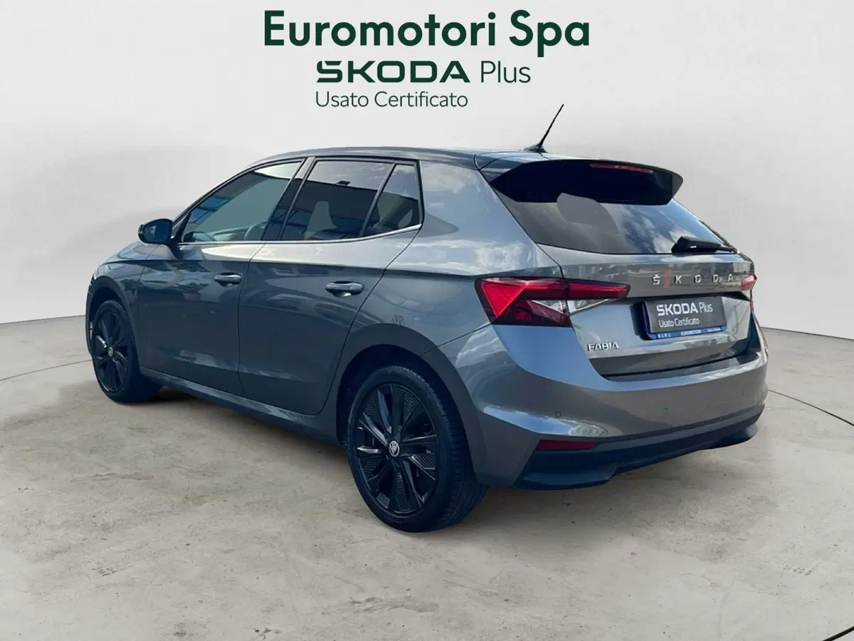 Skoda Fabia usata a Grosseto (2)