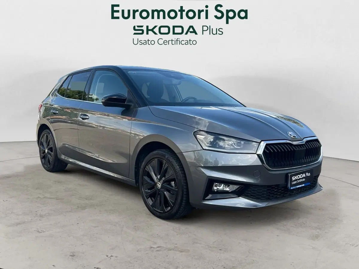 Skoda Fabia usata a Grosseto (5)