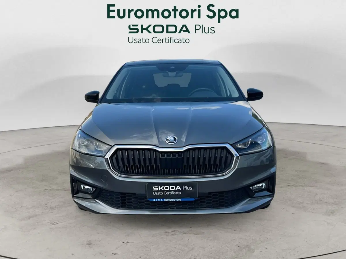 Skoda Fabia usata a Grosseto (6)