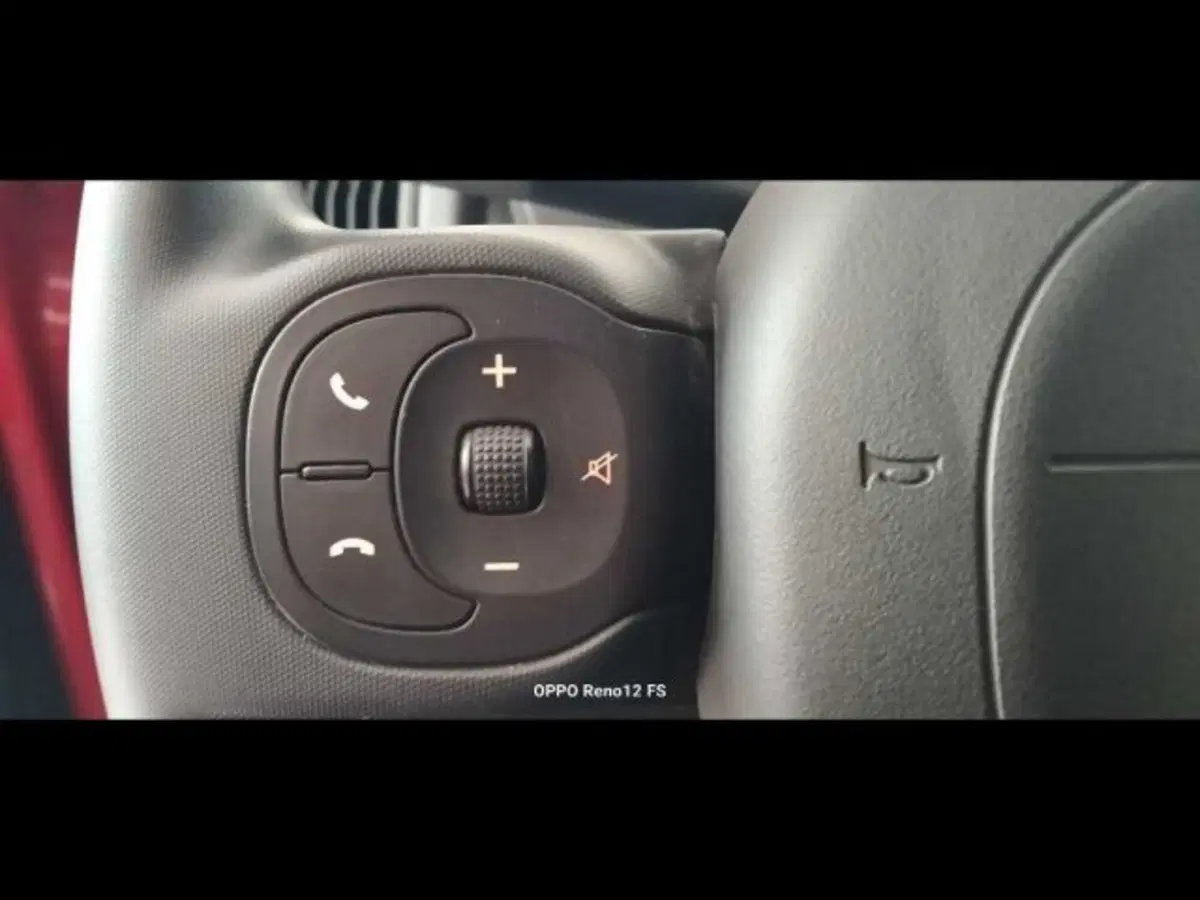 Fiat Panda Cross usata a Caltanissetta (12)