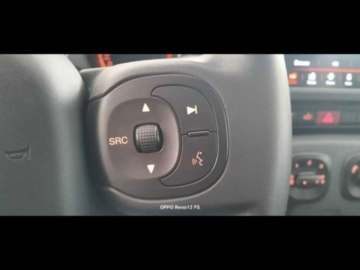 Fiat Panda Cross usata a Caltanissetta (13)