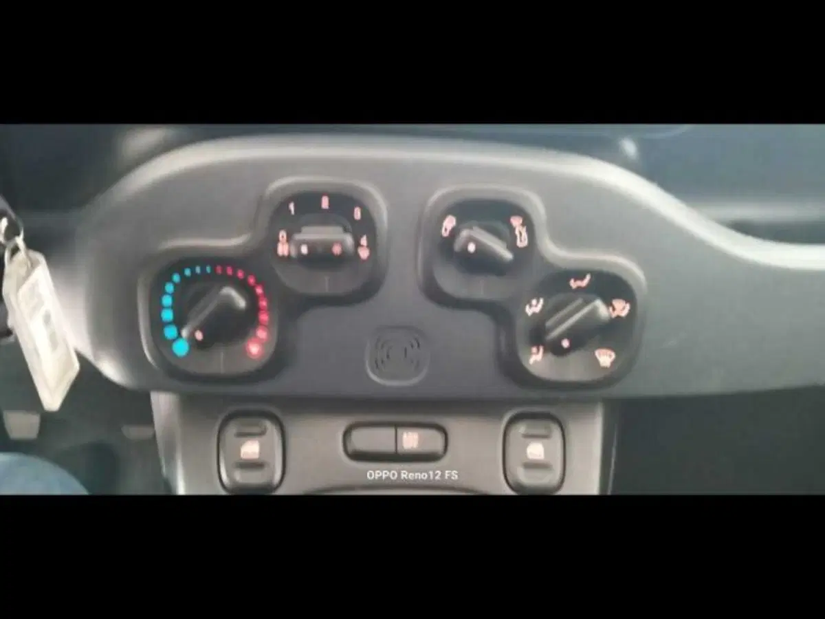 Fiat Panda Cross usata a Caltanissetta (15)