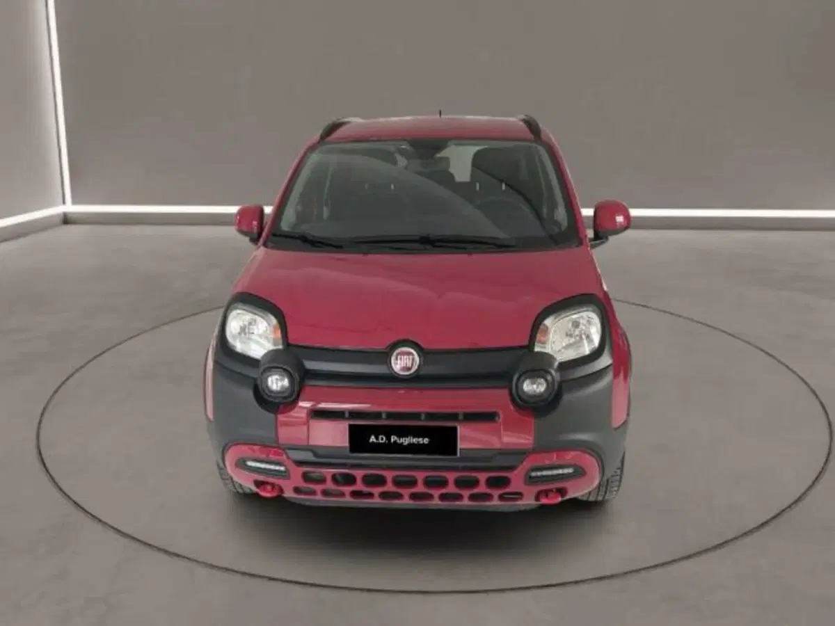 Fiat Panda Cross usata a Caltanissetta (2)