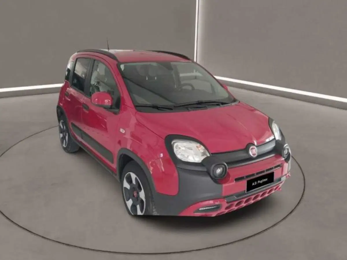 Fiat Panda Cross usata a Caltanissetta (3)
