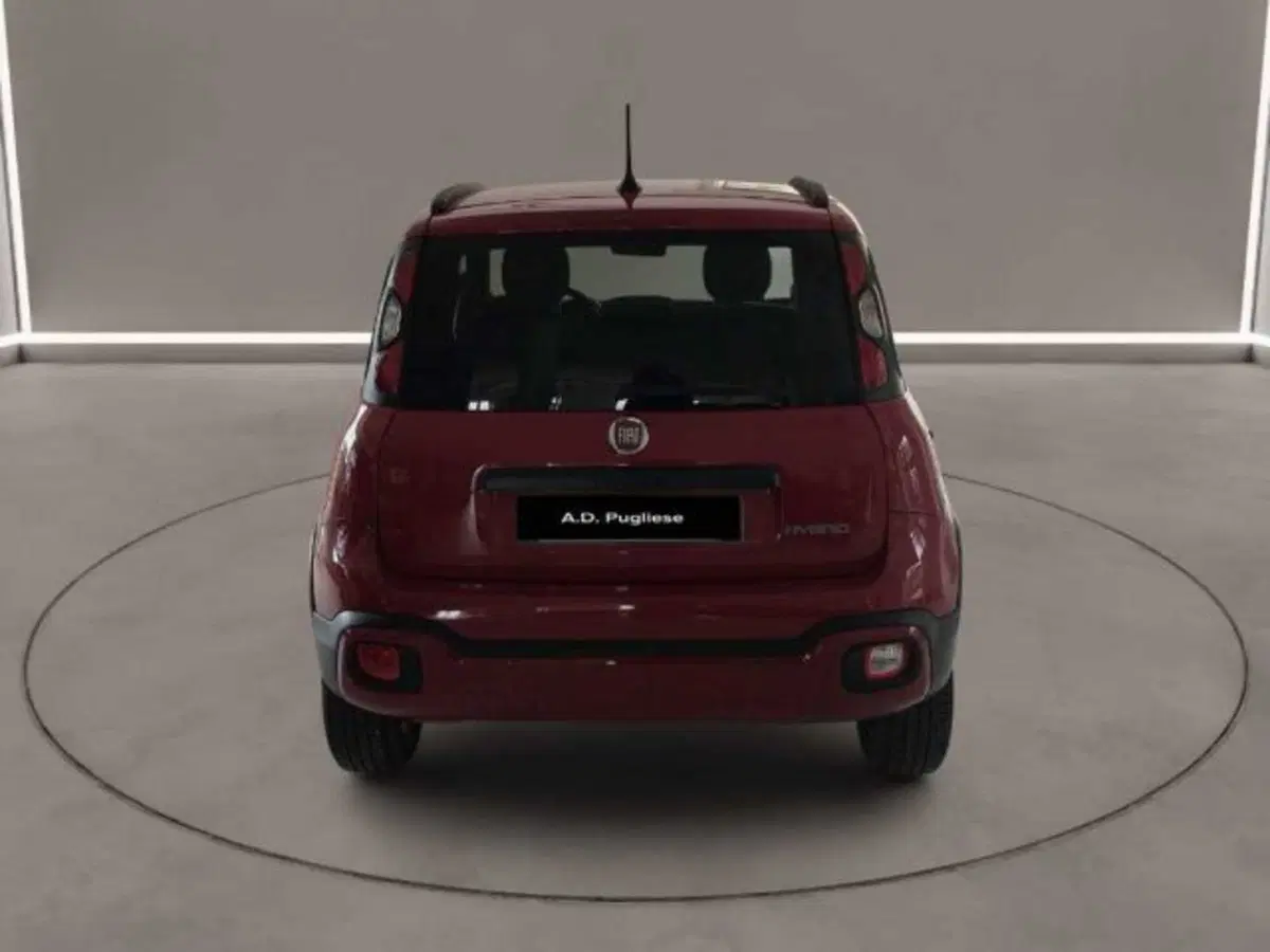 Fiat Panda Cross usata a Caltanissetta (4)
