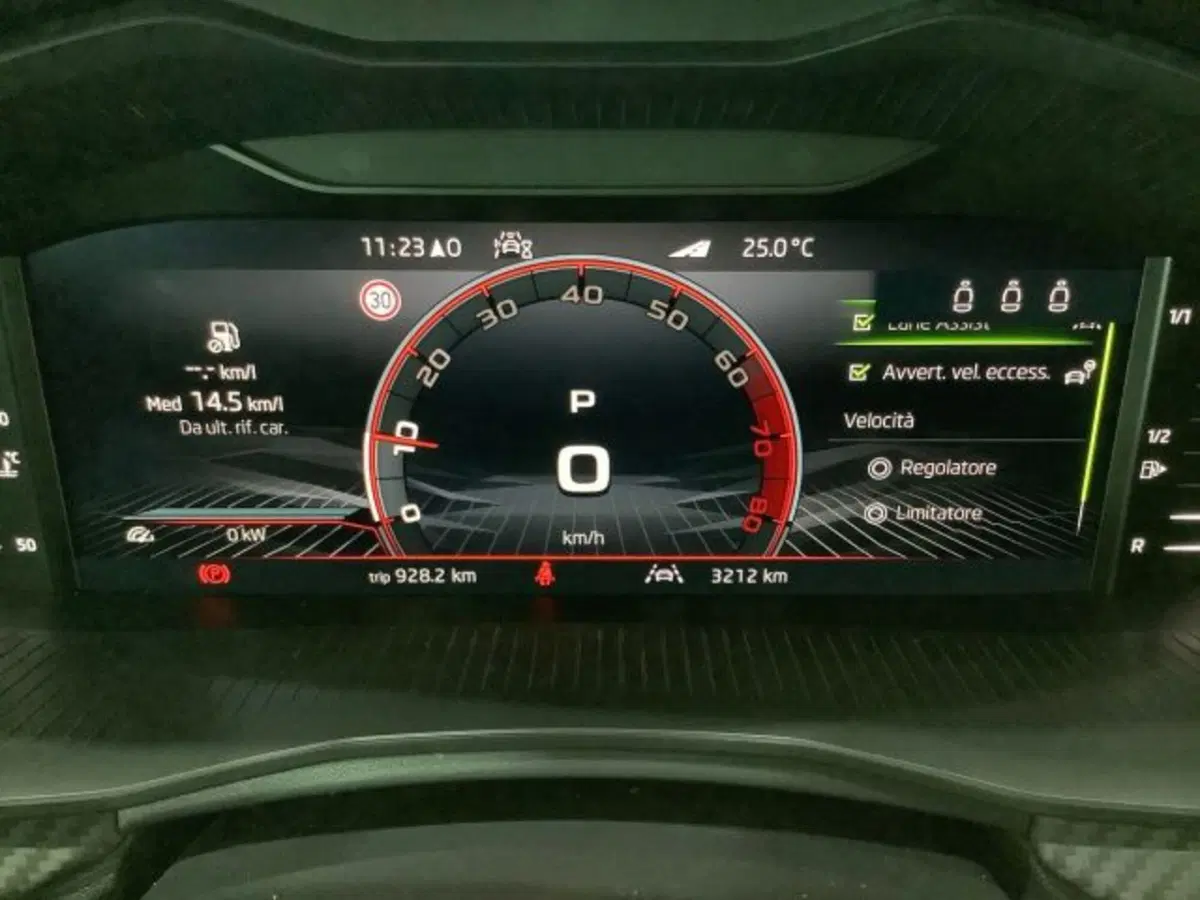 Skoda Kamiq usata a Catania (15)