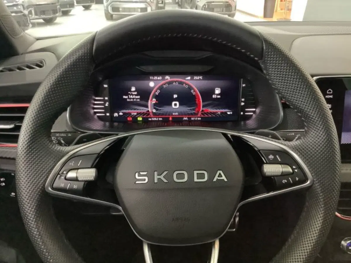 Skoda Kamiq usata a Catania (18)