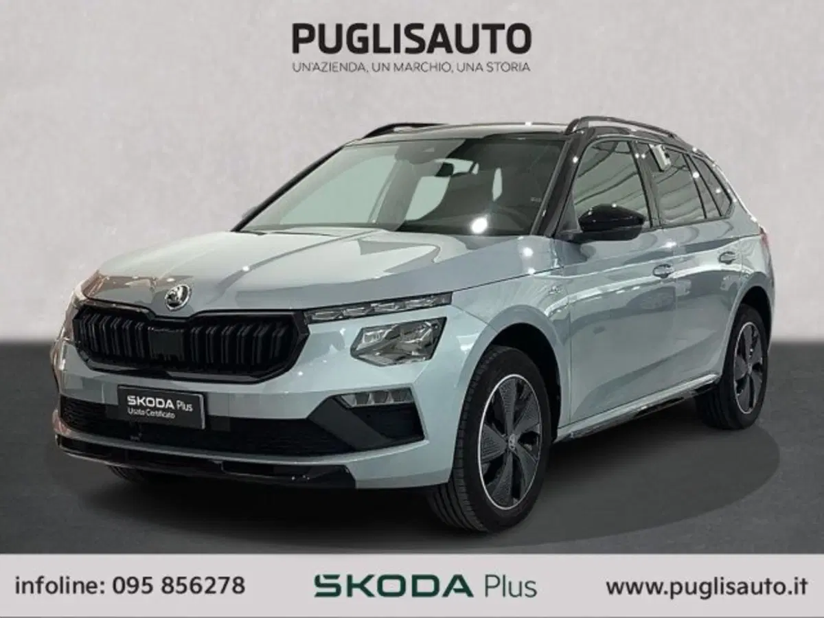 Skoda Kamiq usata a Catania (3)