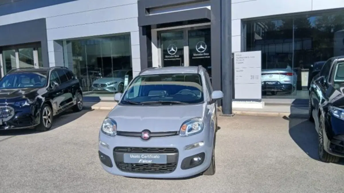 Fiat Panda usata a Potenza (2)