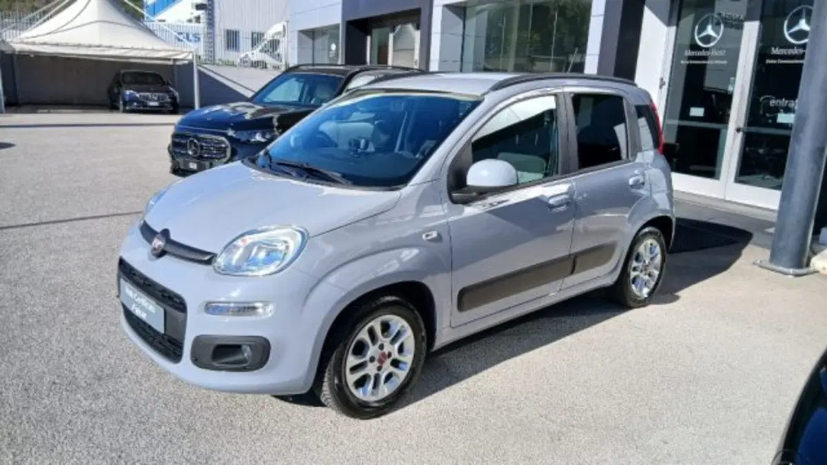Fiat Panda usata a Potenza (3)
