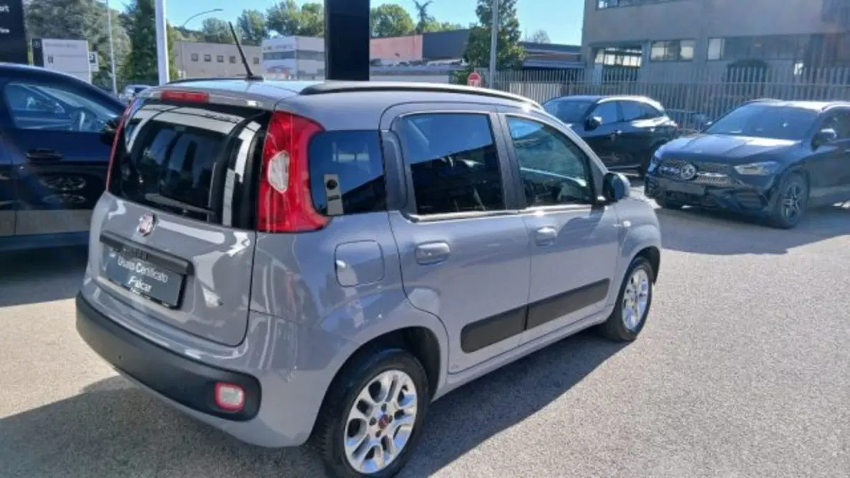 Fiat Panda usata a Potenza (4)