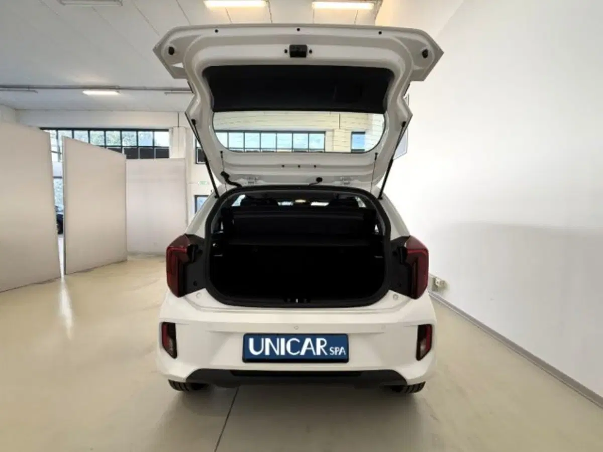 Kia Picanto usata a Cuneo (15)