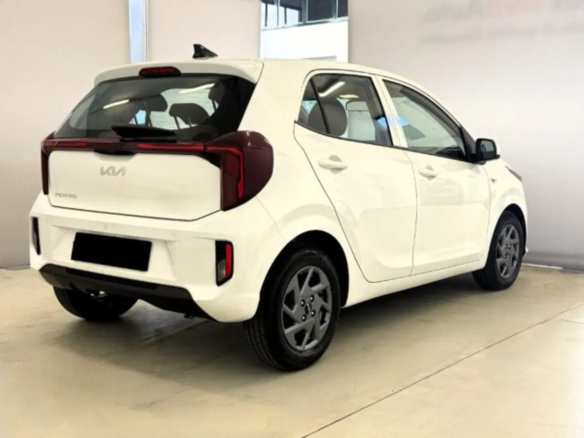 Kia Picanto usata a Cuneo (5)
