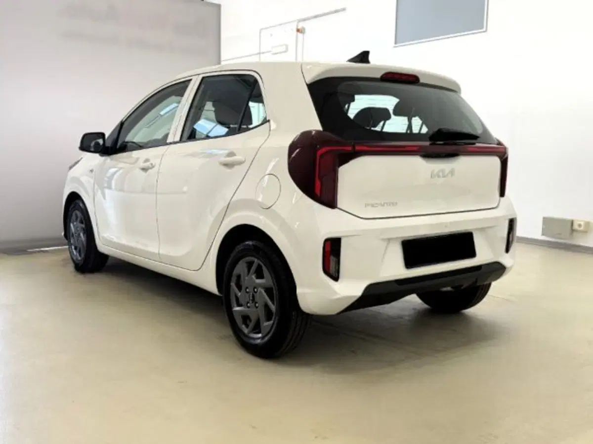 Kia Picanto usata a Cuneo (7)