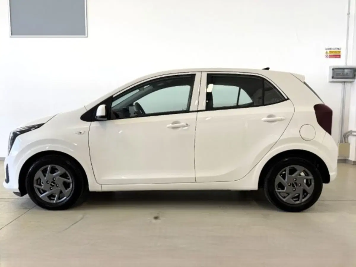 Kia Picanto usata a Cuneo (8)