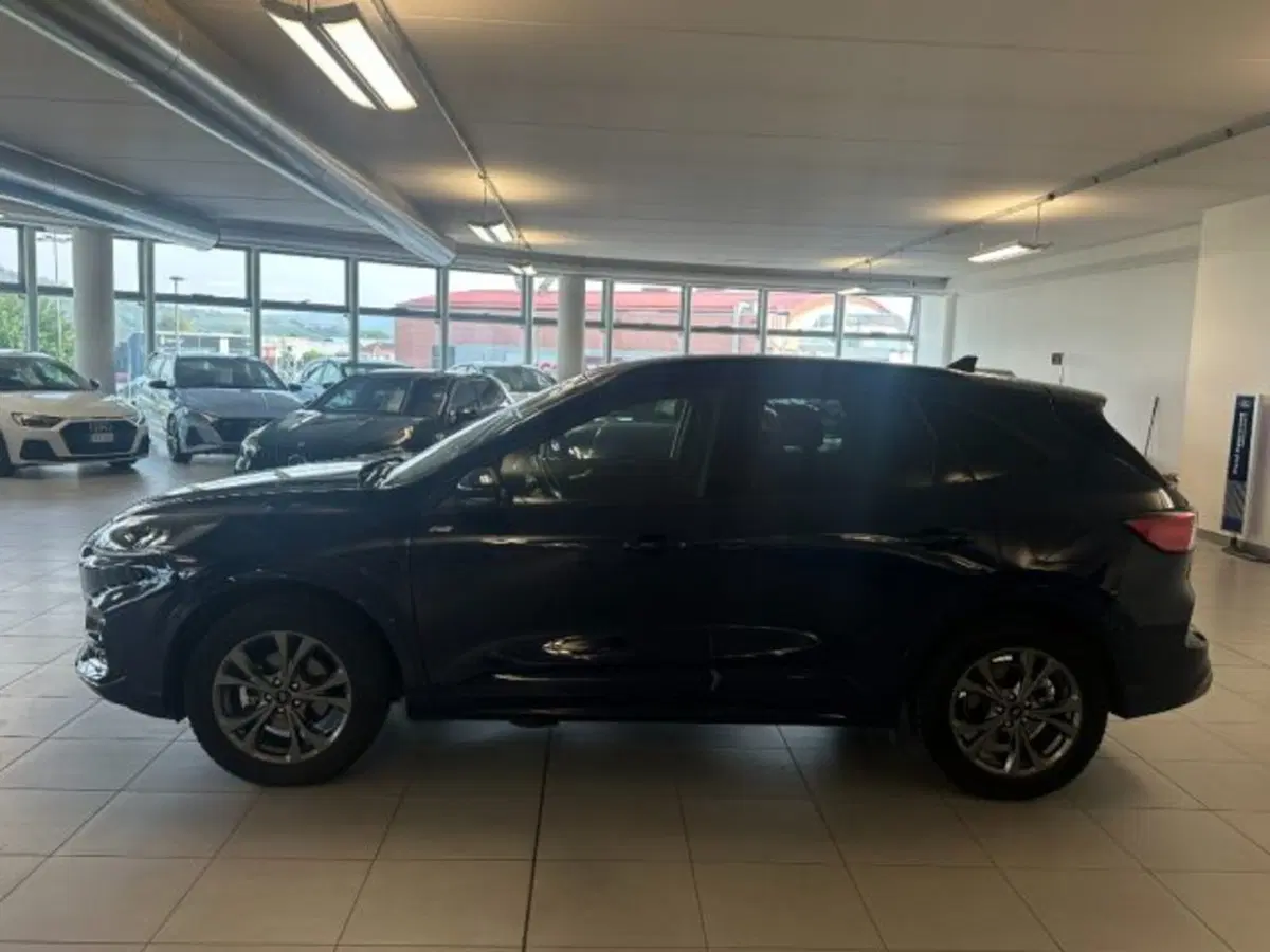 Ford Kuga usata a Cuneo (4)