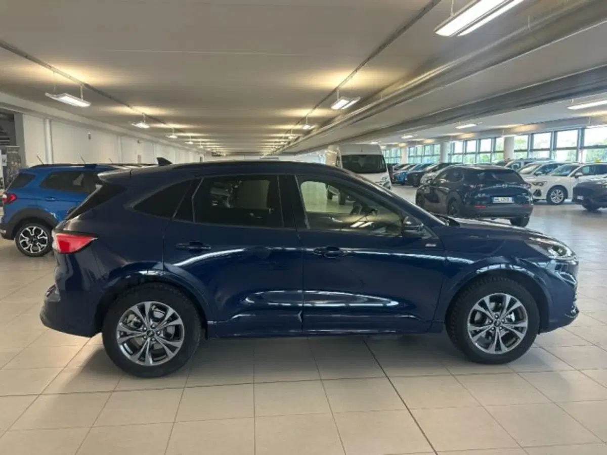 Ford Kuga usata a Cuneo (8)
