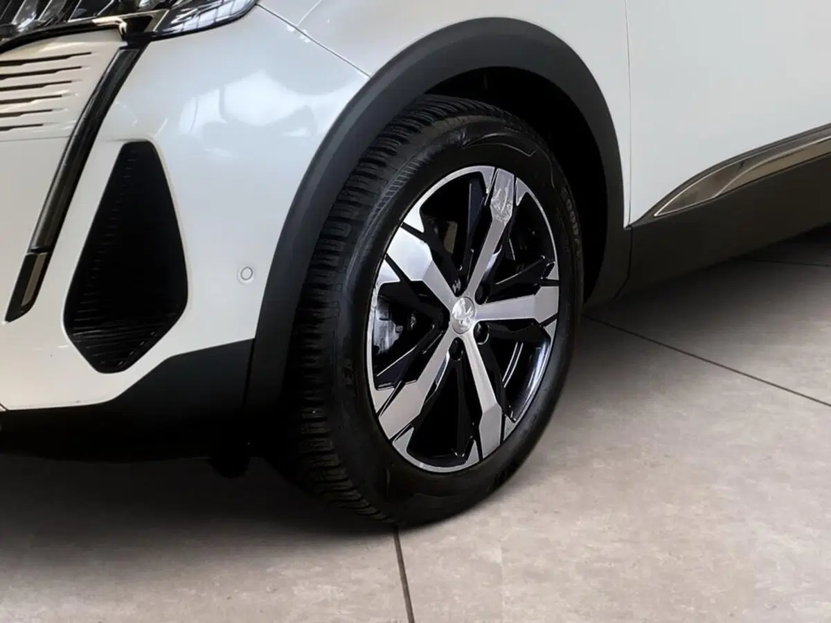 Peugeot 3008 usata a Torino (15)