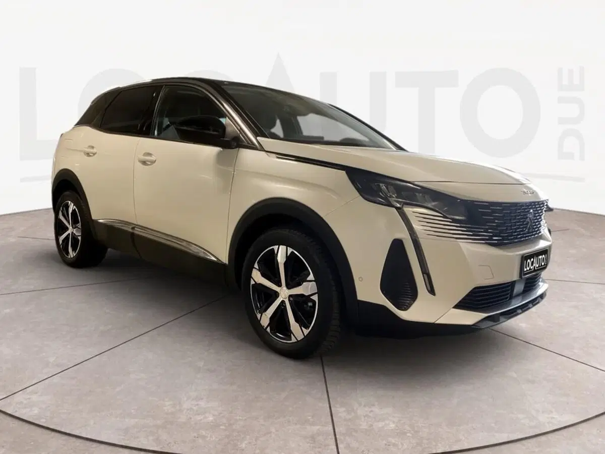Peugeot 3008 usata a Torino (3)