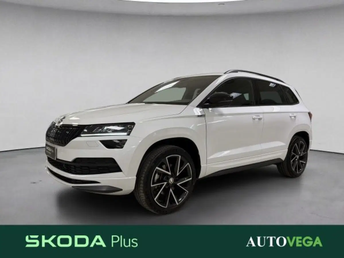 Skoda Karoq usata a Vicenza (2)