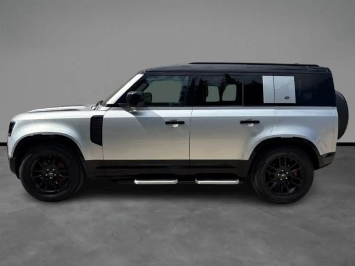 Land Rover Defender usata a Lecce (2)