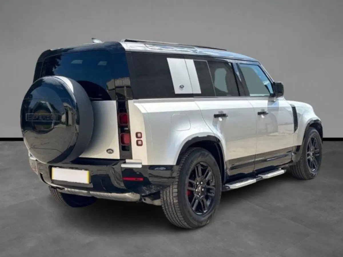 Land Rover Defender usata a Lecce (5)