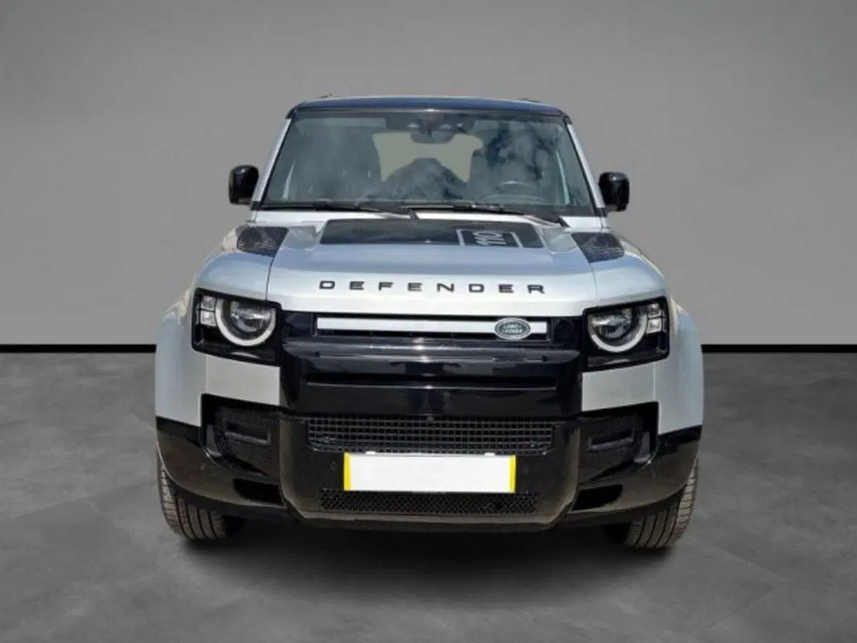 Land Rover Defender usata a Lecce (7)
