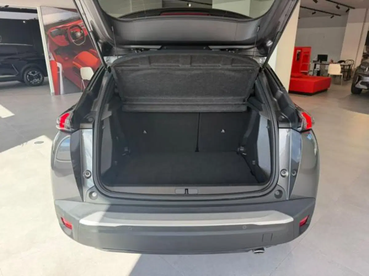 Peugeot 2008 usata a Salerno (20)