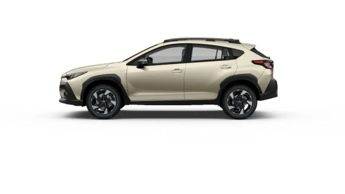 Subaru Crosstrek nuova a Novara (3)