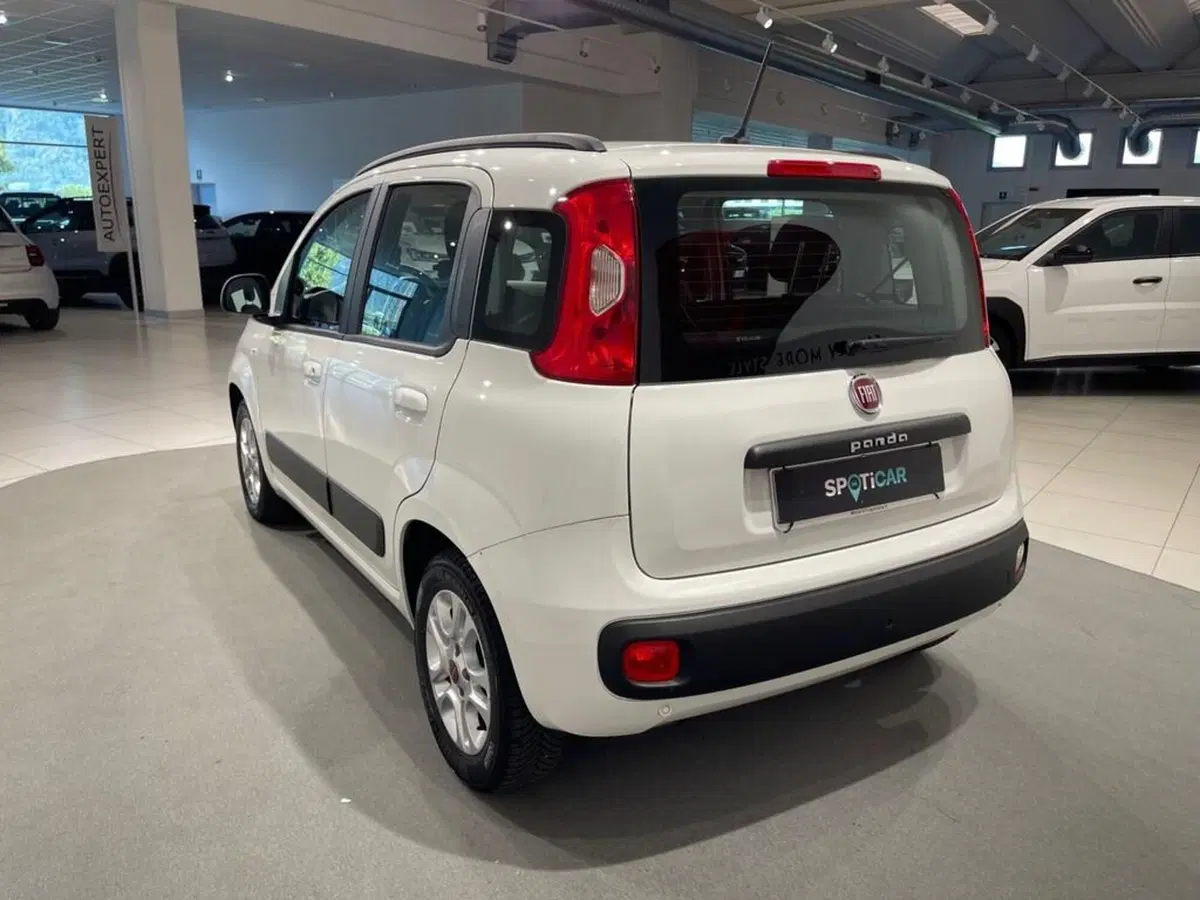 Fiat Panda usata a Sondrio (5)