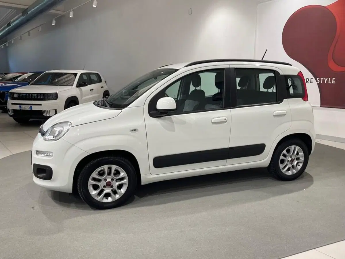 Fiat Panda usata a Sondrio (6)