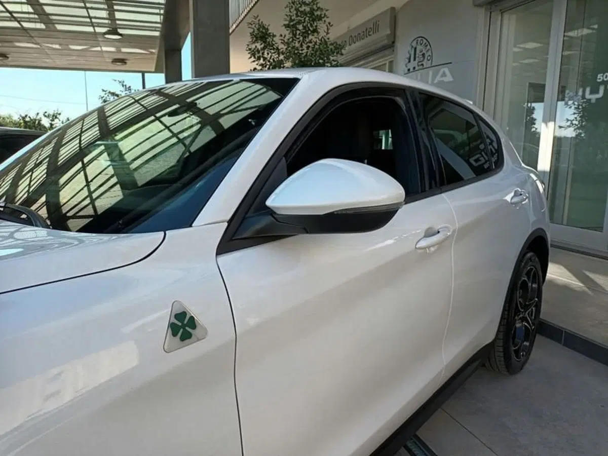 Alfa Romeo Stelvio usata a Bari (10)