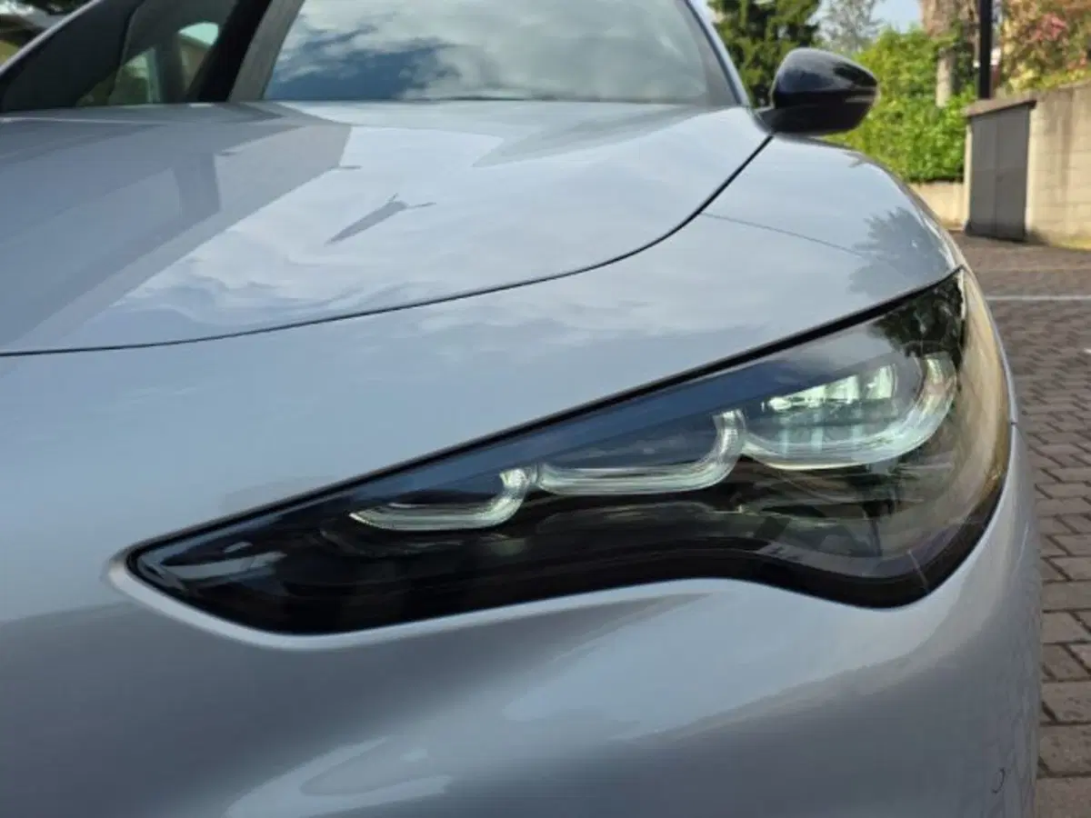 Alfa Romeo Stelvio nuova a Monza e Brianza (14)
