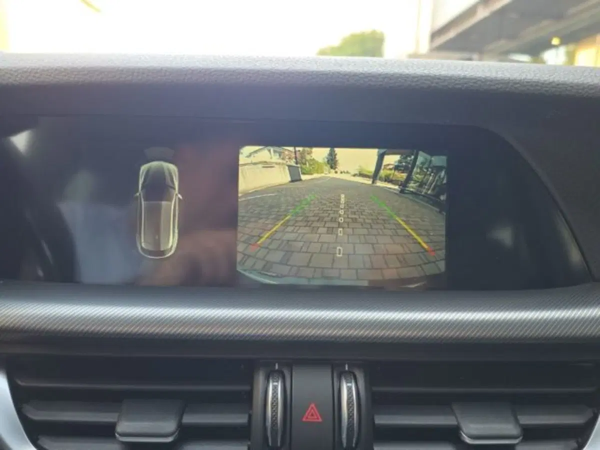 Alfa Romeo Stelvio nuova a Monza e Brianza (17)