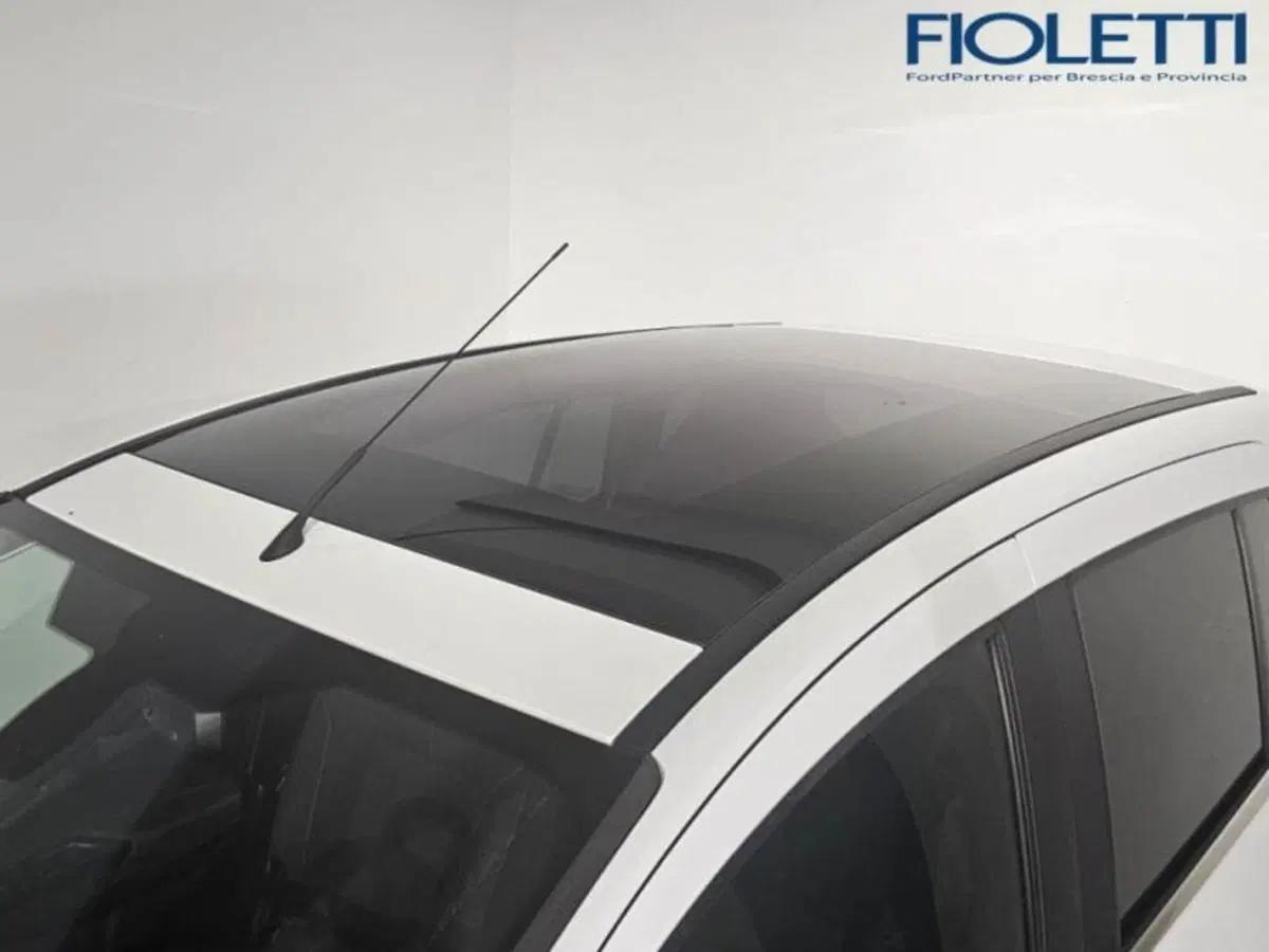 Ford B-Max usata a Brescia (14)
