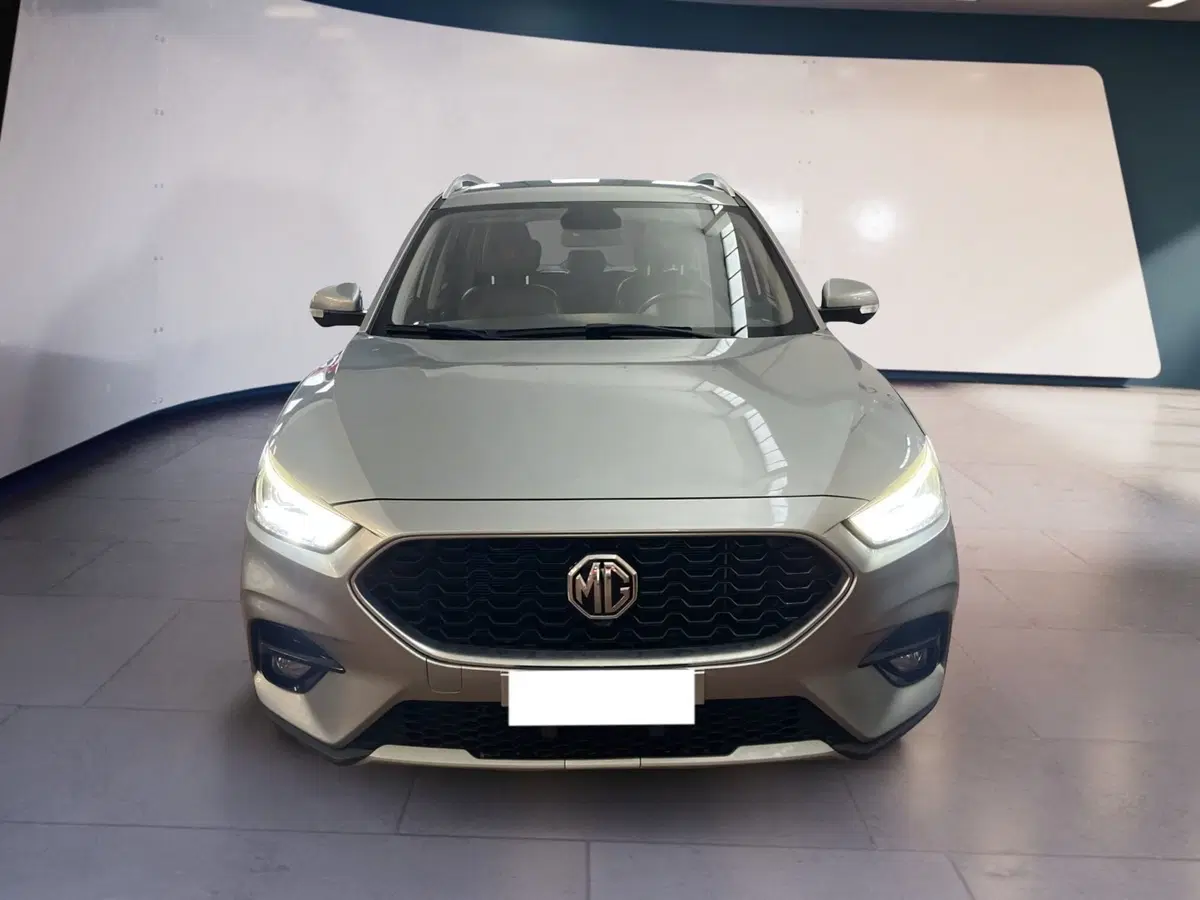 Mg ZS usata a Torino