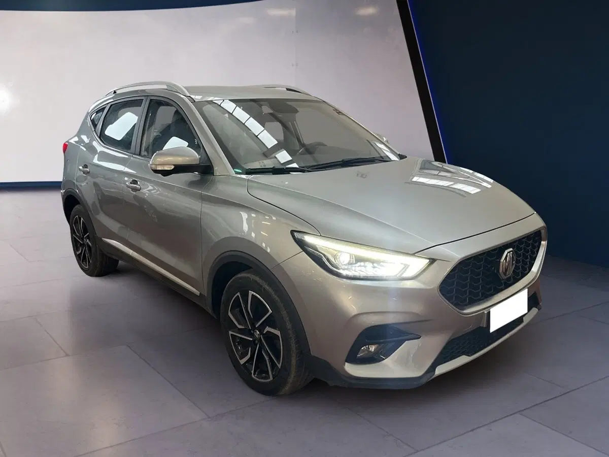 Mg ZS usata a Torino (2)